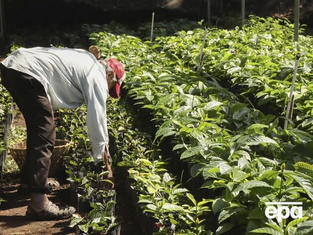 Пори року не збігаються. Науковці виявили кліматичні аномалії