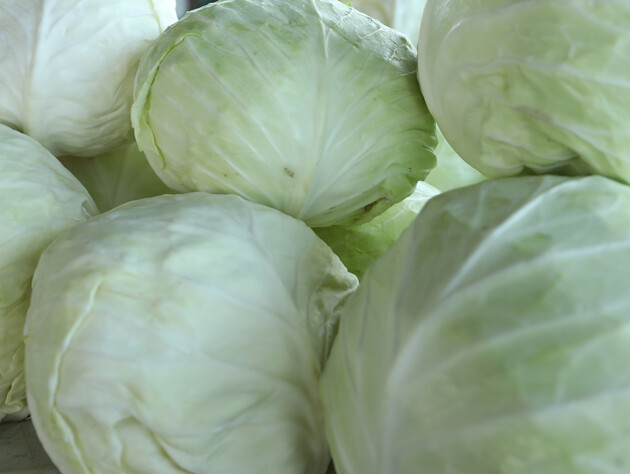 Если сделаете это с кочанами перед хранением – они не потрескаются