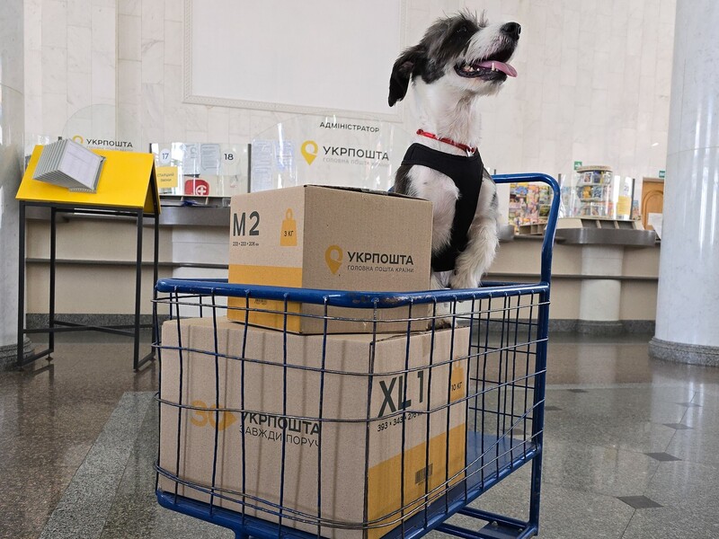 В "Укрпошті" оголосили, що розведуть "пенсіонерів і хіпстерів" по різних "кутах рингу"