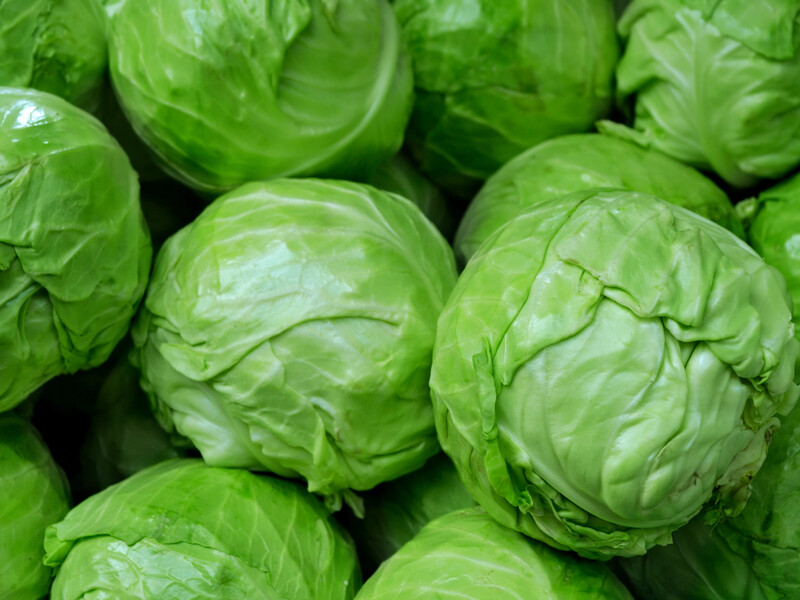 Растворите это в воде – и получите удобрение для повторного урожая капусты