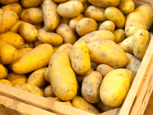 От що потрібно покласти до картоплі, щоб вона збереглася свіжою до літа