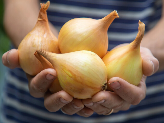 Одна ошибка – и лук можно выбросить. Благодаря этой хитрости лук пролежит до весны