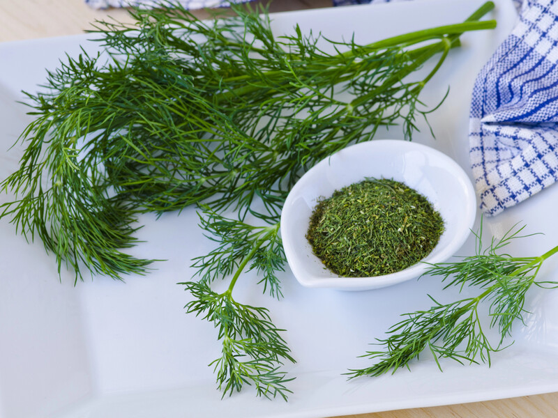 Три лучших способа заготовки укропа на зиму. Все ли из них вам известны?