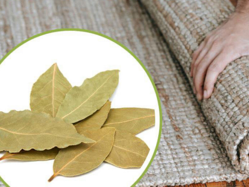 В доме не пахнет свежестью даже после уборки? Эти листья под ковром все изменят