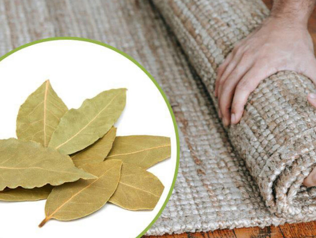 В оселі не пахне свіжістю навіть після прибирання? Ці листки під килимом усе змінять