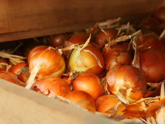 Ніколи не зберігайте в цьому цибулю – інакше доведеться викинути весь урожай на смітник. Секрети досвідчених господинь