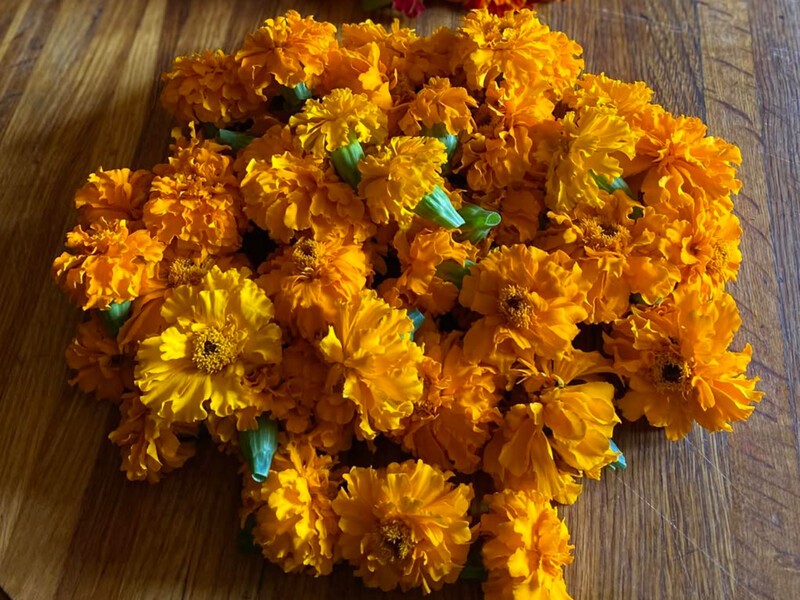 Три вида бархатцев для вкусного, целебного чая. А в этом еще – нежный лимонный аромат