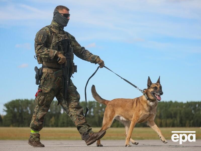 На полигоне бундесвера обнаружили вероятного шпиона, который представился грибником