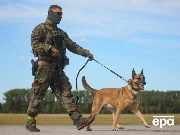 На полігоні бундесверу виявили ймовірного шпигуна, який назвався грибником