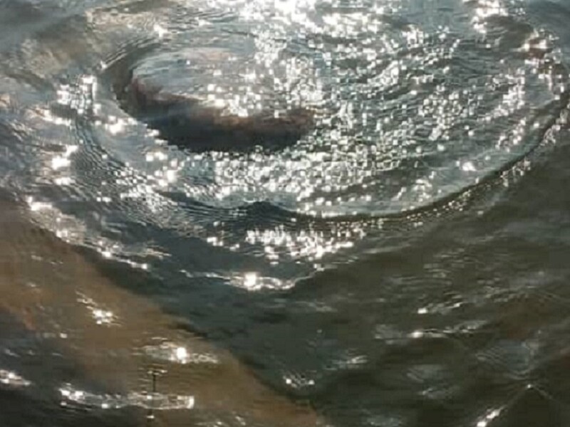 В Уганде из-за пня утонули семь человек