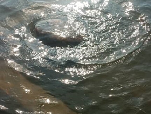 В Уганде из-за пня утонули семь человек