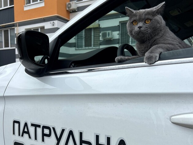 Будут стрелять без предупреждения. 12 случаев, когда патрульные в Украине могут применить оружие