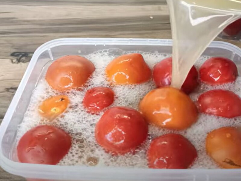 Добавьте этот секретный порошок в рассол – и получатся божественные квашенные помидоры. Рецепт 