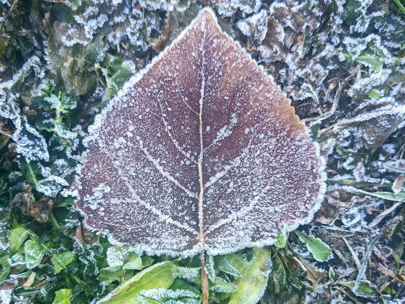 Теплые дни заканчиваются. Чего ждать от погоды в ближайшие дни