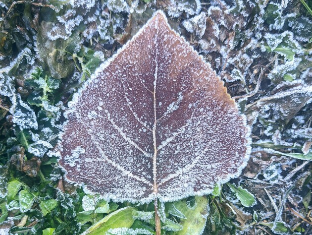 Теплі дні закінчуються. Чого чекати від погоди найближчими днями