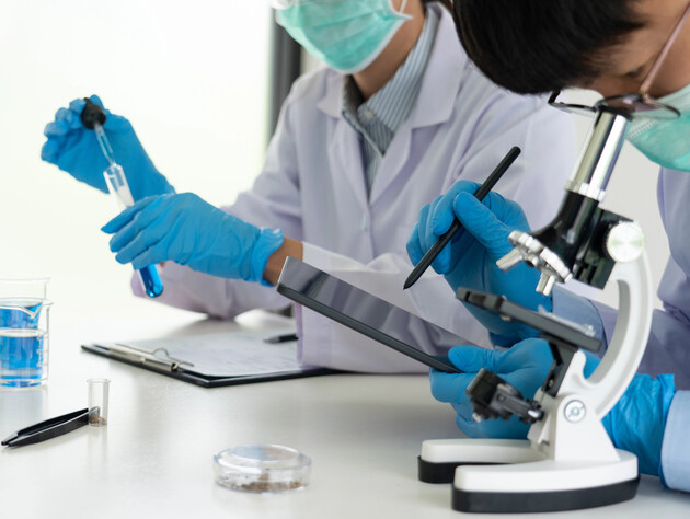 У Китаї винайшли медичний клей, який за хвилини скріплює кістки. До чого тут устриці? 