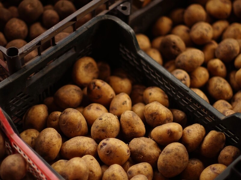 Этот овощ испортит весь урожай картофеля. Проследите, чтобы они хранились подальше друг от друга