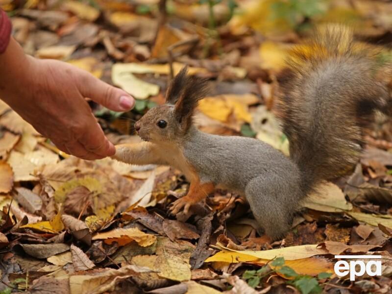 С чего начнется октябрь? Синоптики рассказали, какой погоды ждать в течение недели