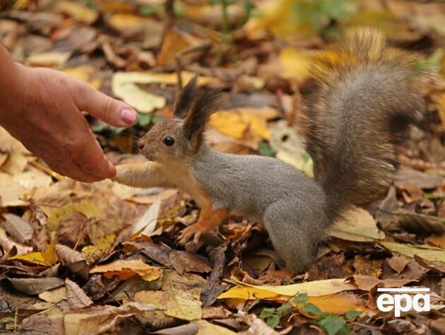 Із чого почнеться жовтень? Синоптики розповіли, на яку погоду очікувати протягом тижня