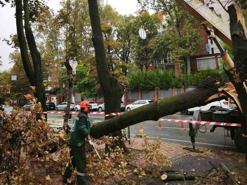 Мерія Одеси зробила попередження про погоду в місті