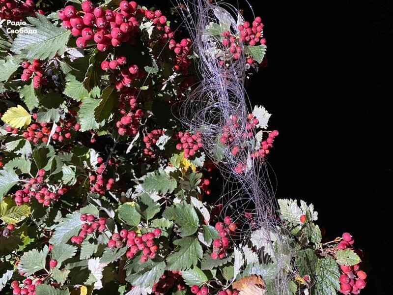 Краматорск атаковал дрон на оптоволокне. Вероятно, это первый подобный случай