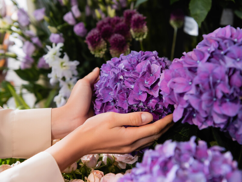 Не обрезайте эти четыре растения осенью – они не зацветут весной