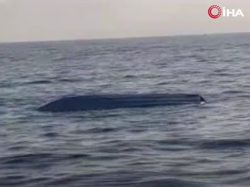 Возле берегов Турции обнаружили второй за неделю дрон, который может быть украинским. Видео