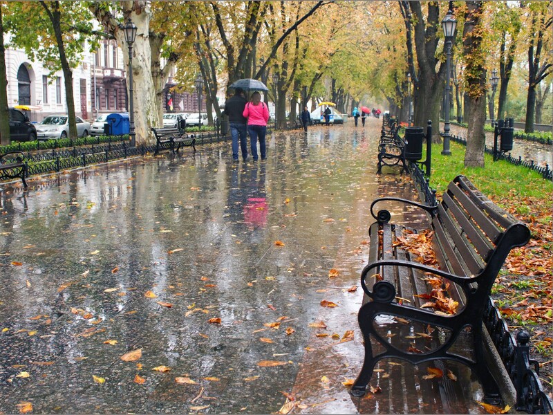 Циклон в Україні. У яких областях буде сильний вітер і дощ?