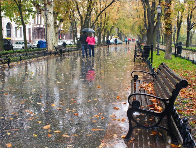 Циклон в Украине. В каких областях будет сильный ветер и дождь?