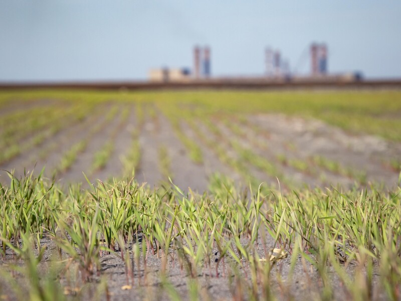 Один работник в металлургии создает до восьми рабочих мест в смежных отраслях – "Метинвест"