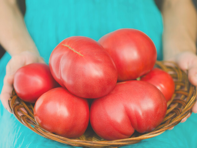 Які томати обрати для наступного року? Названо найсолодший сорт