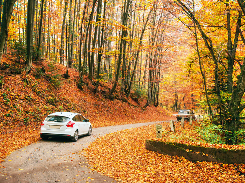 Стало известно, когда в Украине станет теплее – синоптик