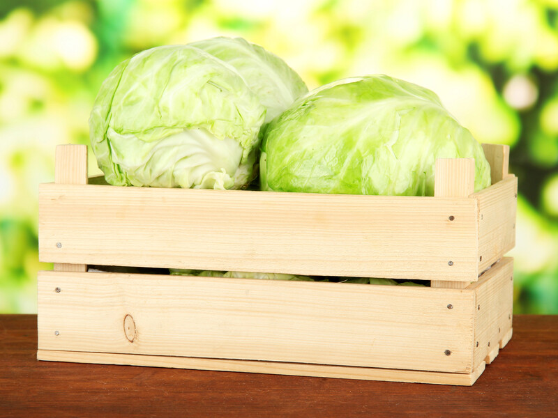 Заверните этим кочаны – и капуста пролежит до начала весны. Лайфхак, который сохранит урожай 