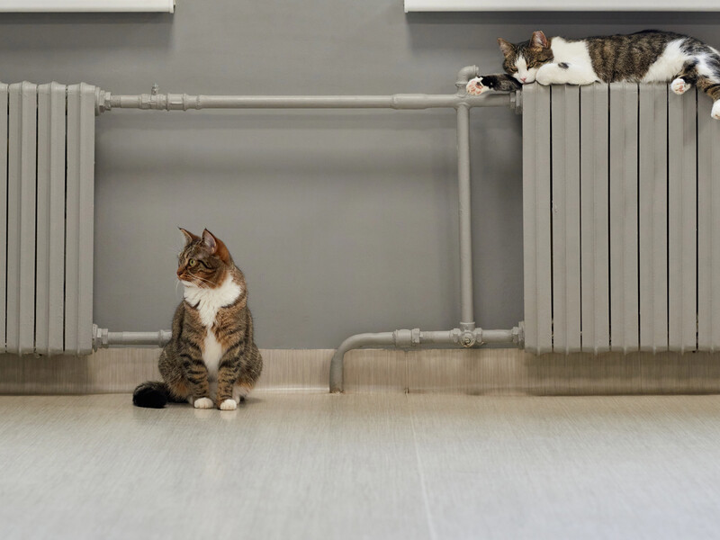 Коли початок опалювального сезону в Україні і чи правда, що його скоротили