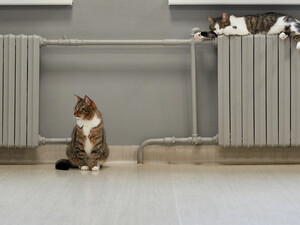 Когда начало отопительного сезона в Украине и правда ли, что его сократили