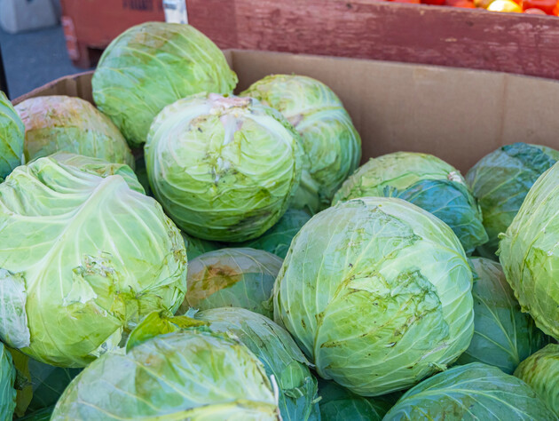 Розкладіть на цьому капусту головками вниз – і вона пролежить до літа. Хитрість, яка збереже врожай