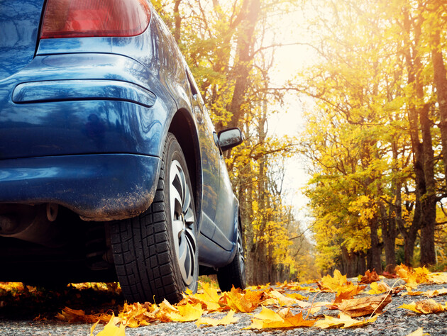 Как обычные каштаны осенью спасают водителей от больших штрафов на дороге. Проверенный лайфхак