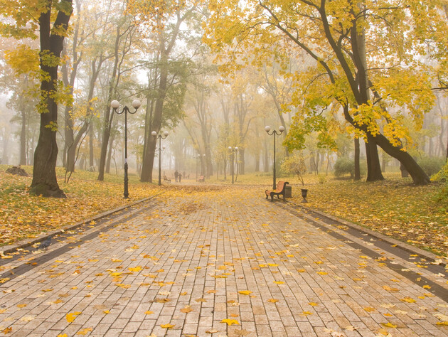 Прогноз погоды на 15 октября. Синоптики предупреждают об опасности