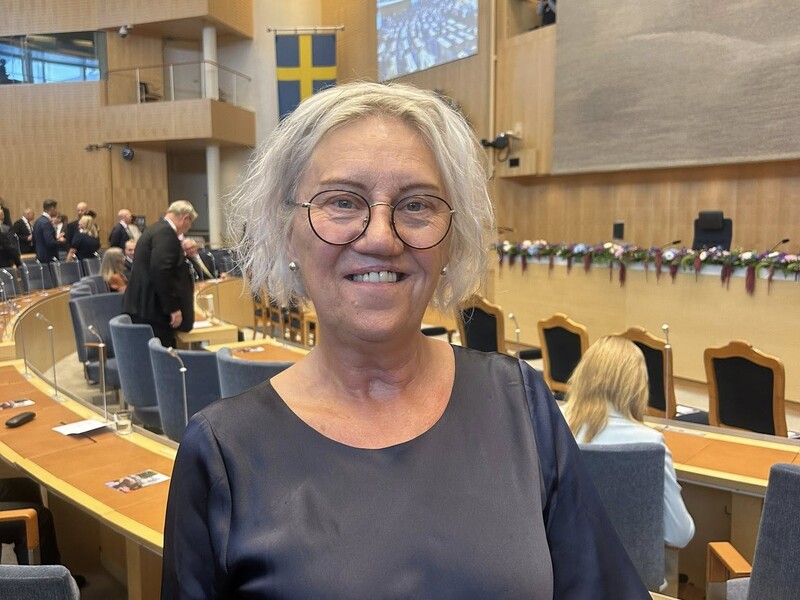 В ОБСЕ назначен спецпредставитель по вопросам украинских детей, похищенных Россией