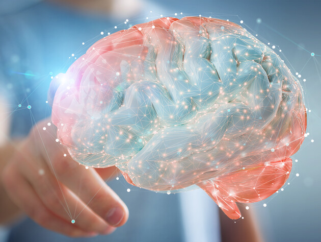 Когда человеческий мозг достигает пика своих возможностей? Ученые дали неожиданный ответ