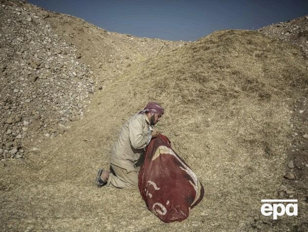 Правительство Асада тайно перенесло массовое захоронение жертв режима – Reuters