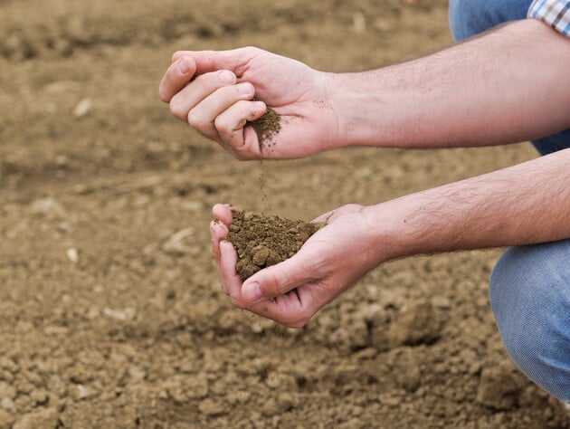 Розсипте це восени на ділянках. Урожай картоплі, томатів і огірків зросте вдвічі