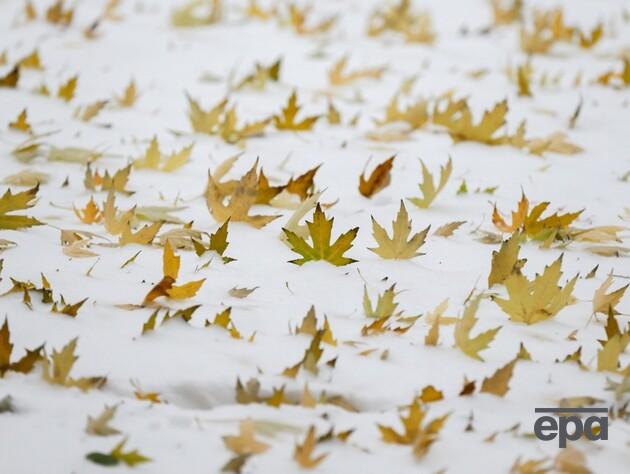 В каких регионах Украины в ночь на 19 октября будет снег?