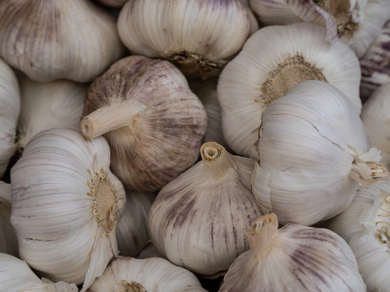 При хранении обязательно сделайте это – и чеснок очень долго будет сочным. Проверенный способ