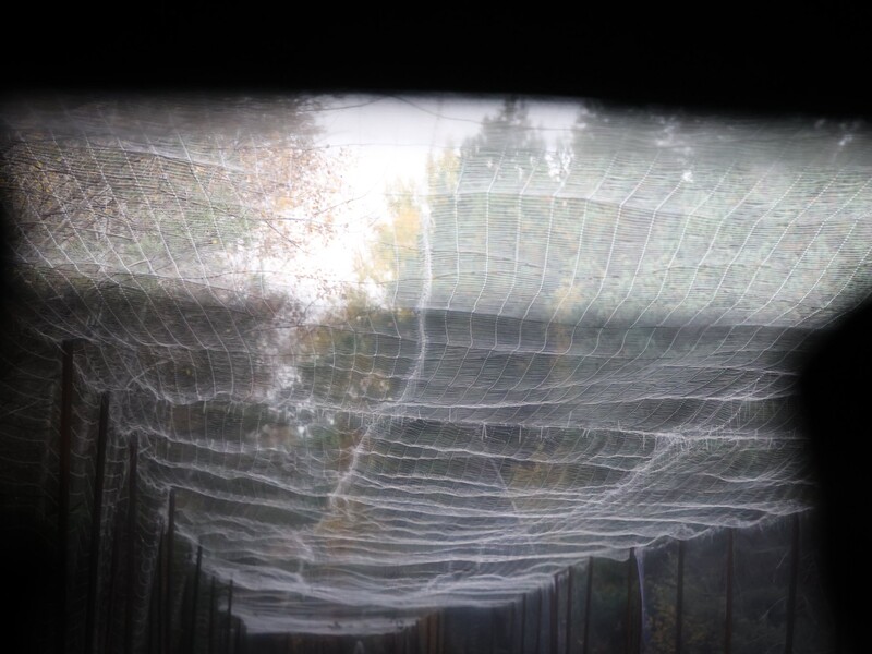 У Київській області перевірили фортифікації після заяв про подальшу військову експлуатацію Білорусі РФ