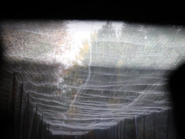 У Київській області перевірили фортифікації після заяв про подальшу військову експлуатацію Білорусі РФ