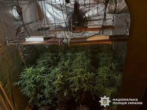 Полиция разоблачила наркотрафик кокаина и каннабиса из Испании в Украину. Фото, видео