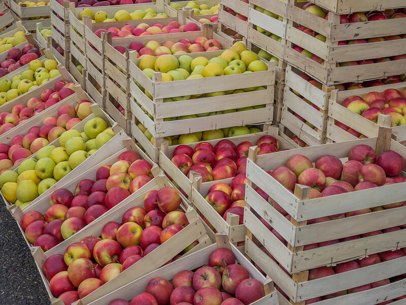 Опытные садоводы всегда кладут это на дно каждого ящика – и яблоки не портятся до весны. Лайфхак