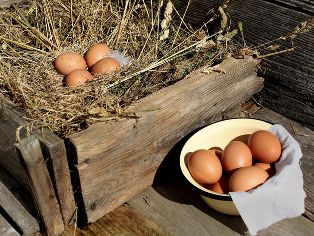 Повісьте це в жовтні в курнику – і кури будуть невтомно нести яйця до самої весни. Секретний трюк