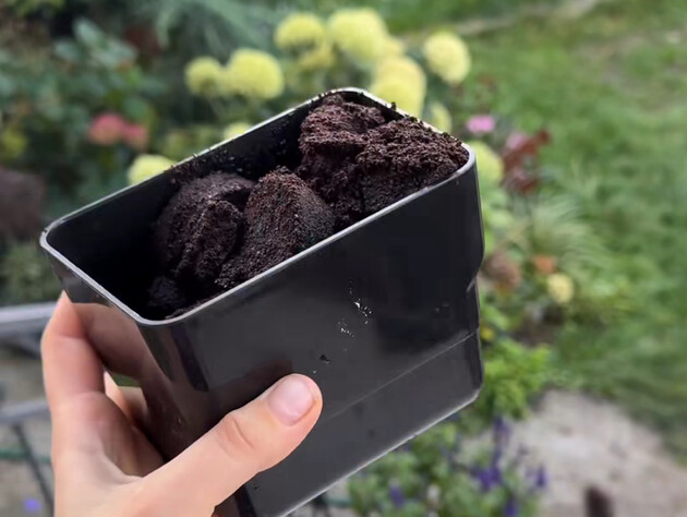 Що насправді відбувається з рослинами, коли ви додаєте під кущі кавову гущу?